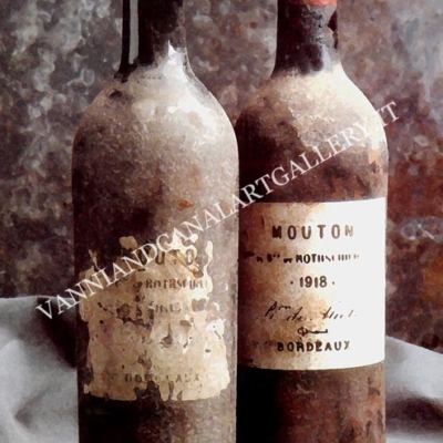 Vino Mouton de Rothschild - Bordeaux