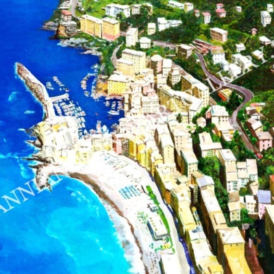 Veduta aerea (Cinque Terre)