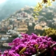 Fiori con Bouganville (Positano)