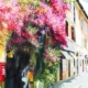 Trastevere con fiori Bouganville