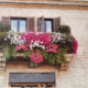 Roma balcone fiorito